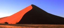 Monica Guy - Namibia Desert Dune