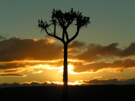 Namibia - Fish River Canyon