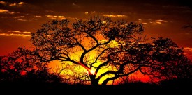 South Africa - South Africa at Sunset