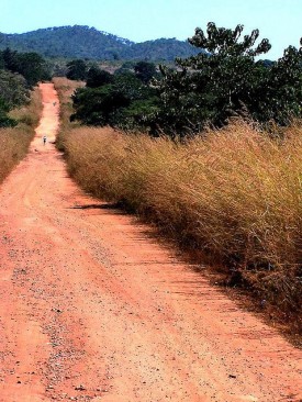 Zambia - Dirt Road, Zambia