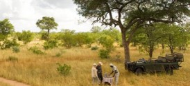 Kruger Luxury Safari - Kruger National Park Game Drive
