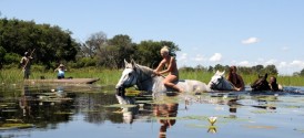 Okavango Delta Horseback Safari - Horse Safaris in Okavango Delta