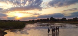 South Luangwa Walking Safari - Walking Safari crossing Mupamadzi River 