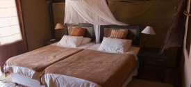 Great Namibian Journey - Kulala Desert Tours