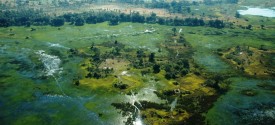 Okavango Delta, Moremi and Savuti Wilderness Safari - okavango Delta