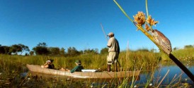Great Wilderness Journey And Victoria Falls - Reed Frog and Mokoro