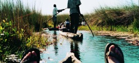 Okavango Delta Canoe Safari - Mokoro Excursion