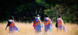 Limpopo Self Drive Holiday - Limpopo Province