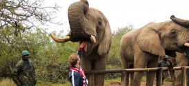 Addo Elephant & Eastern Cape Self Drive Tour - Addo Elephant National Park
