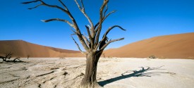 Self Drive Tour: Namibia - Damaraland