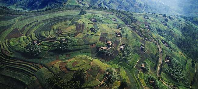rwanda landscape