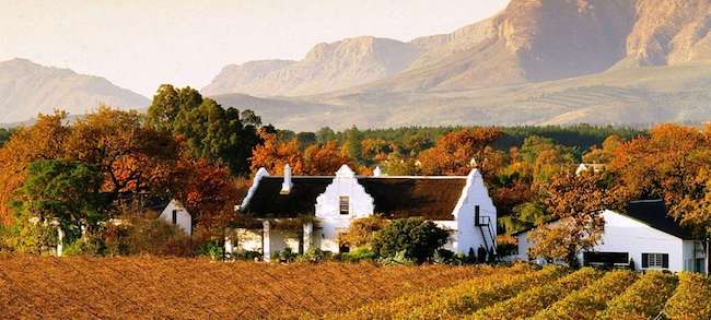 wine estate stellenbosch cape town holiday