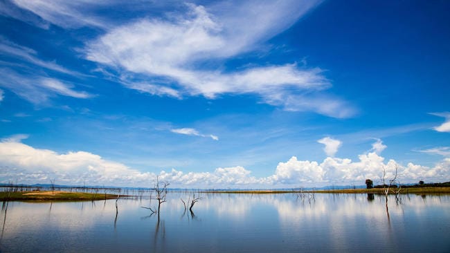 zimbabwe safari lake kariba